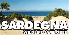 VIAGGI 4X4 - SARDEGNA 4X4 WILDLIFE ISLAND